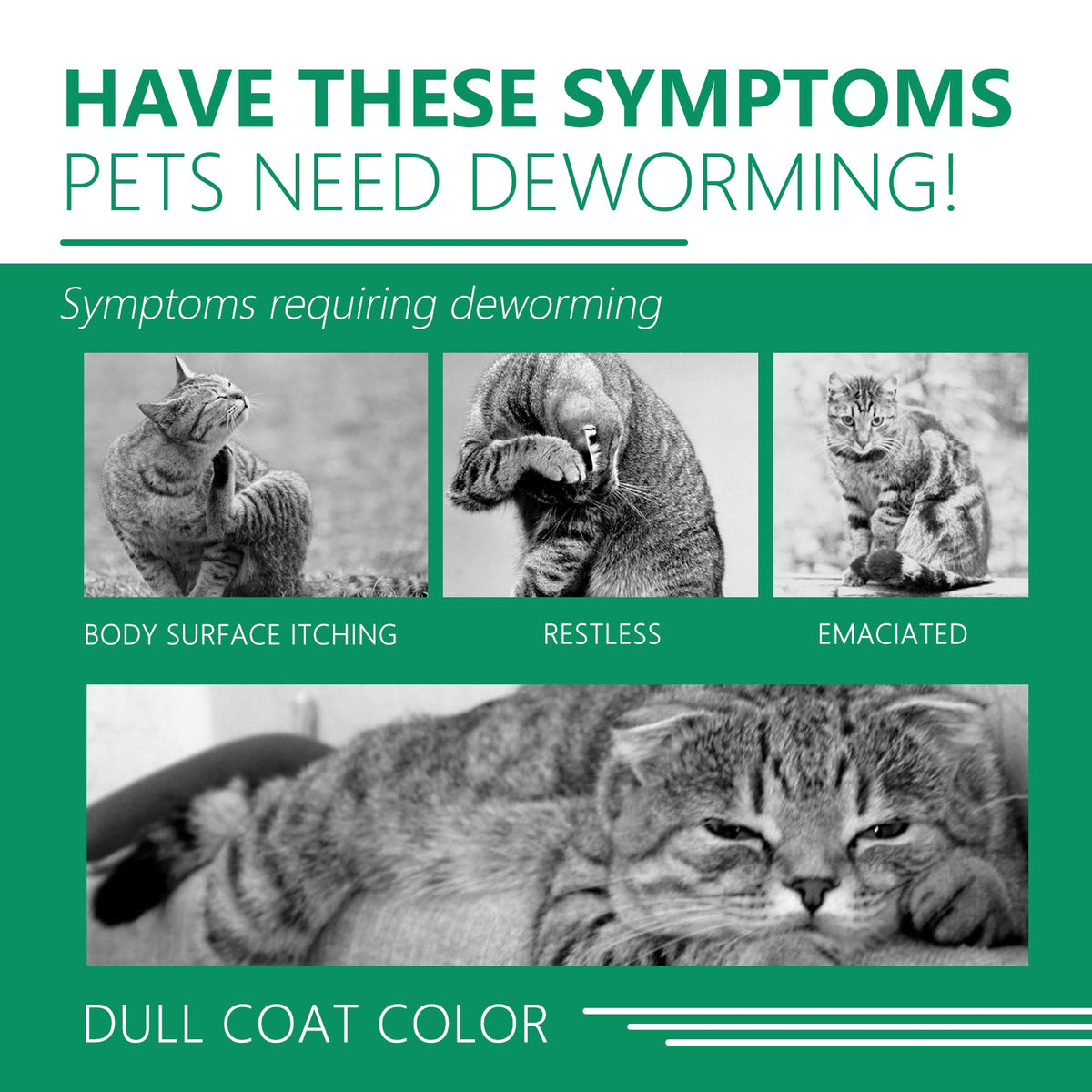 Pet Deworming Collar, Flea Resistant Tick Resistant Pet Waterproof Adjustable Deworming Collar