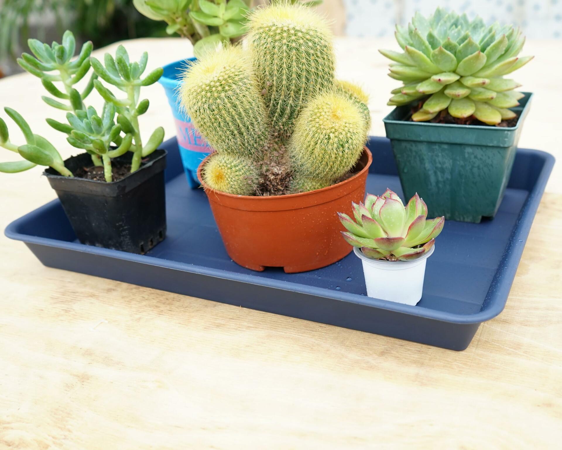 VUWEZ Plant Saucer Tray 11x9in, Heavy Sturdy Plastic Drainage Tray, 1 Pack