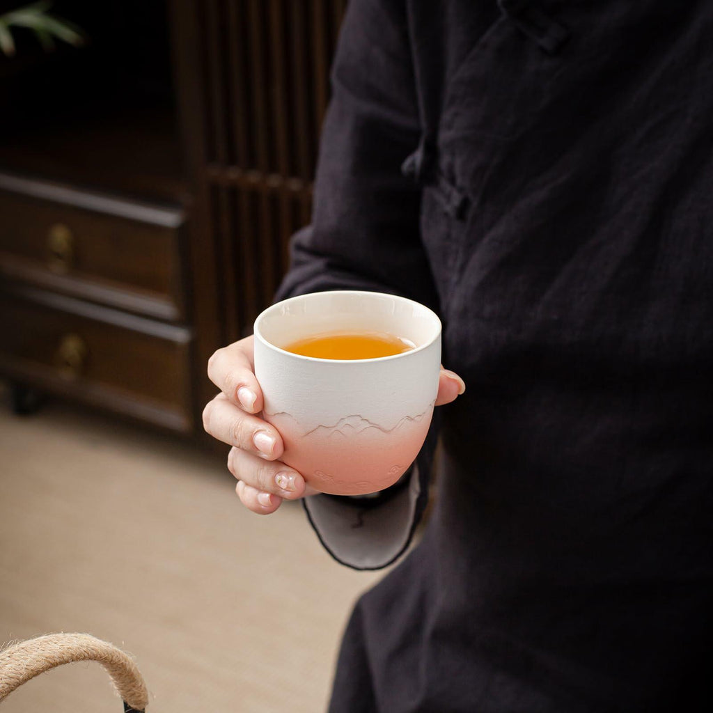 TEANAGOO Japanese Tea Cup 5.6oz Gradient Pink White 4 Pcs Box