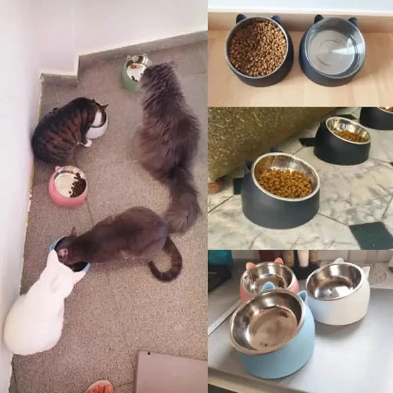 Premium Stainless Steel Cat & Dog Bowls - Non Slip Base for Food & Water